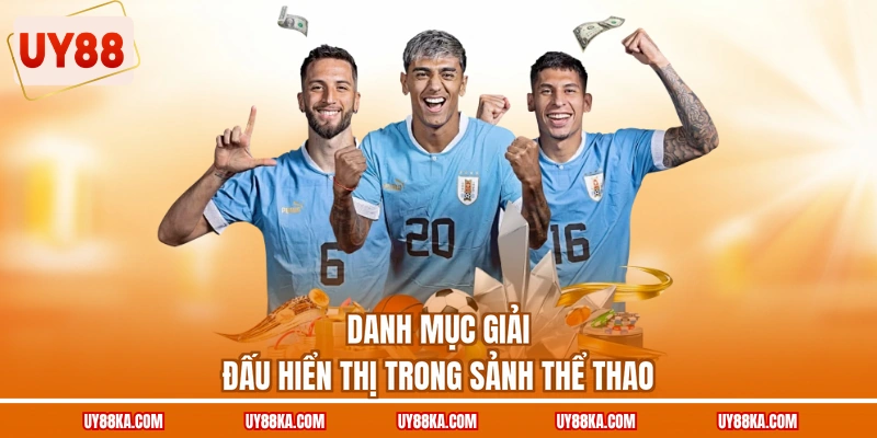Danh mục giải đấu hiển thị trong sảnh thể thao