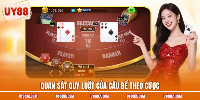 Quan sát quy luật của cầu để theo cược